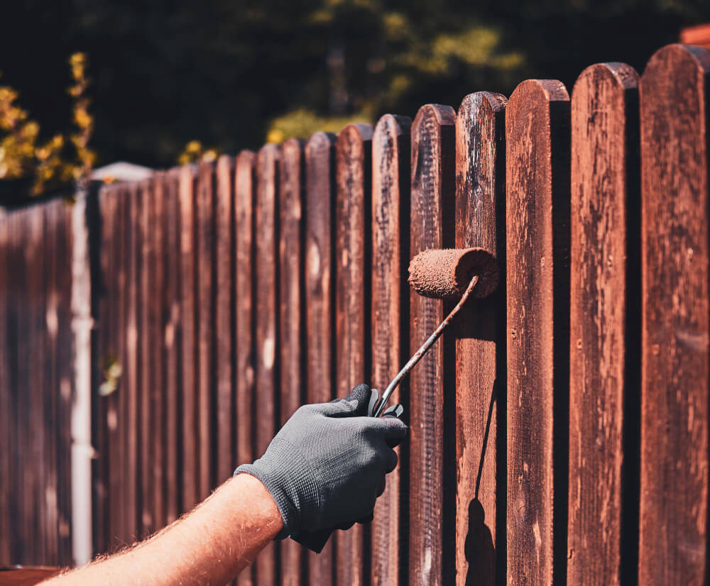 Professional Fence Painting
