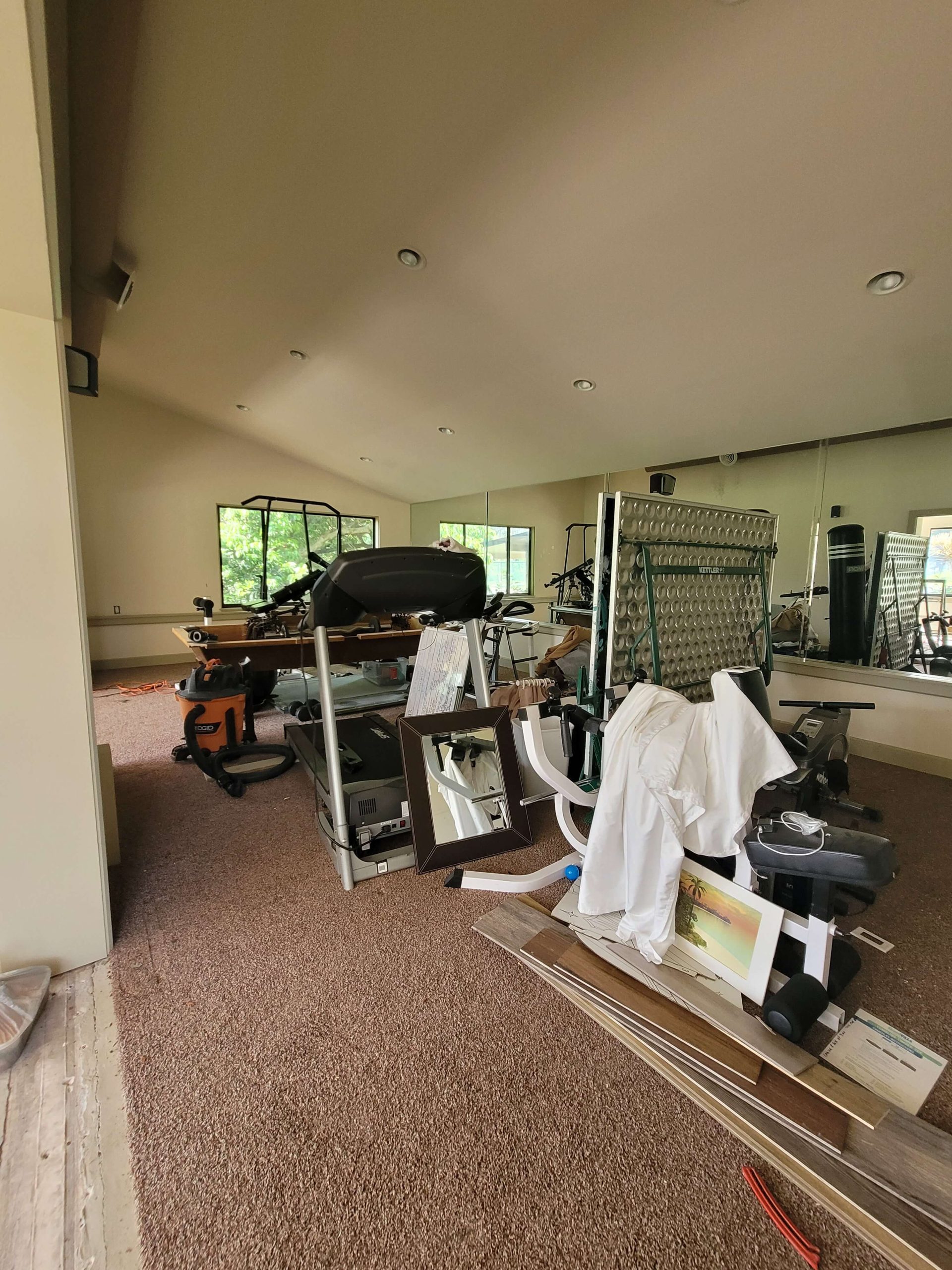 Home-Gym-Painting-Renovation-Lutz