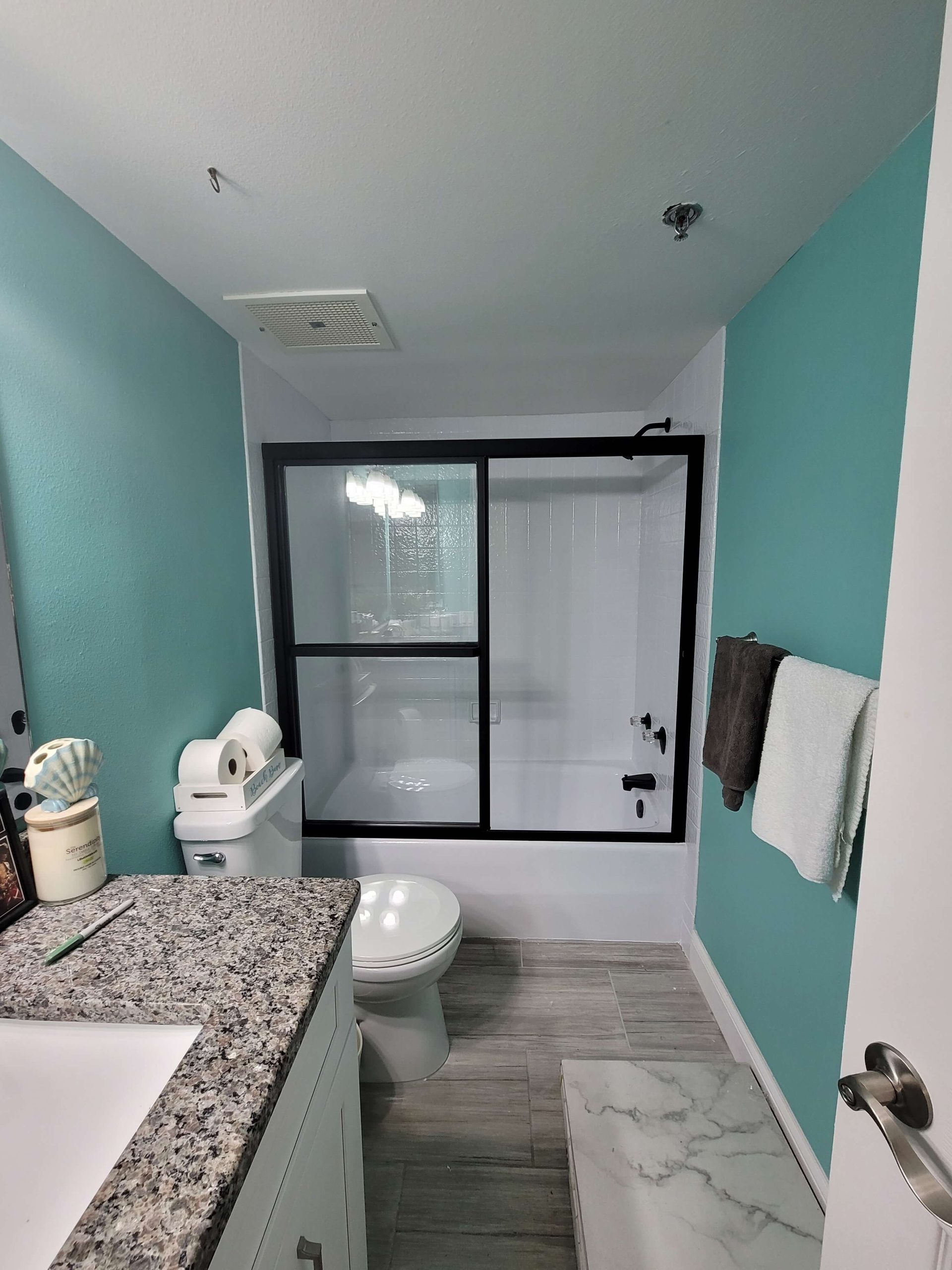 Professional-Home-Painters-Palm-Harbor-FL